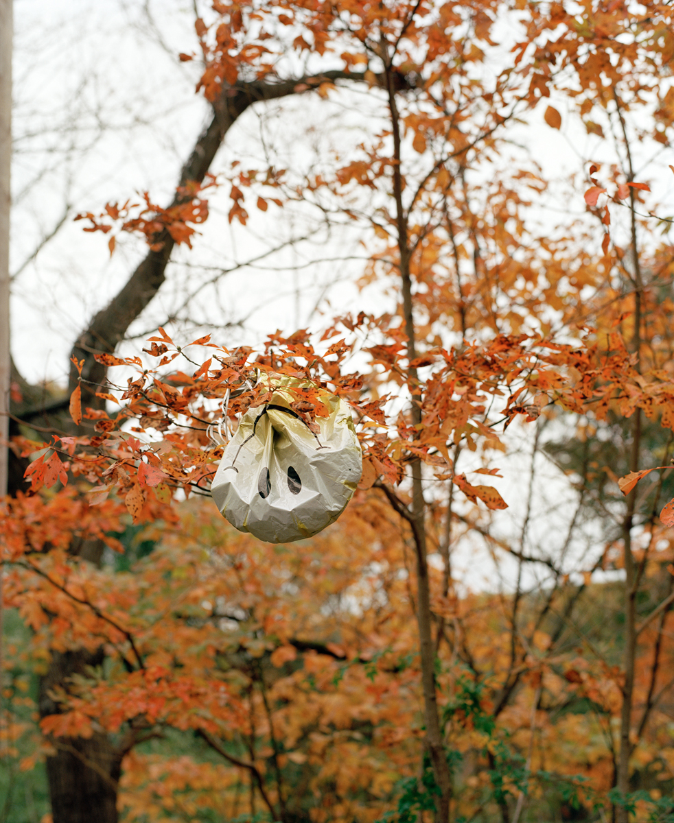 Dana Stirling: “Why am I Sad?” A Portfolio &&nbsp;Interview