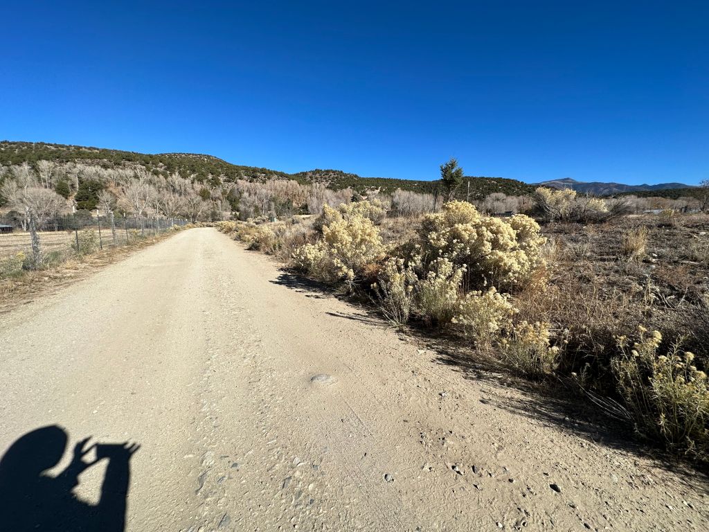 The Power of the&nbsp;Check-In