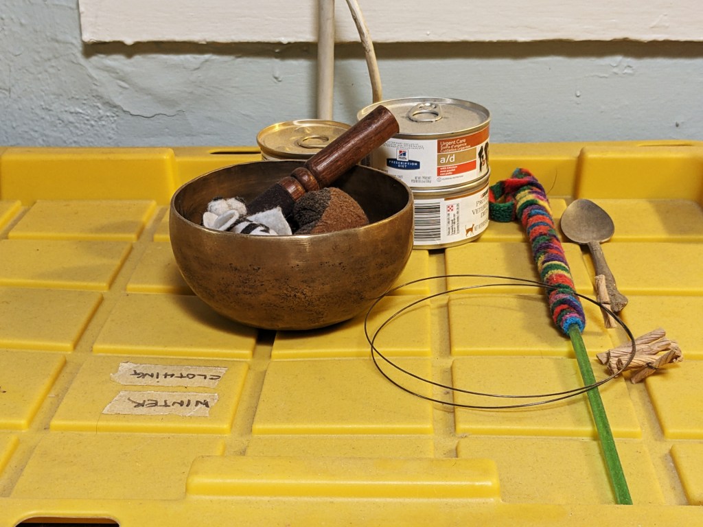 A New Yorker in&nbsp;Tucson